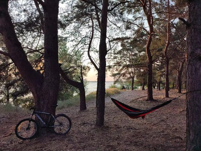 🌿 SoloNest™ Outdoor Nylon Hammock